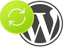 Aktualizace WordPressu a pluginů