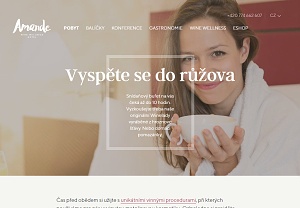 Web amandehotel.cz